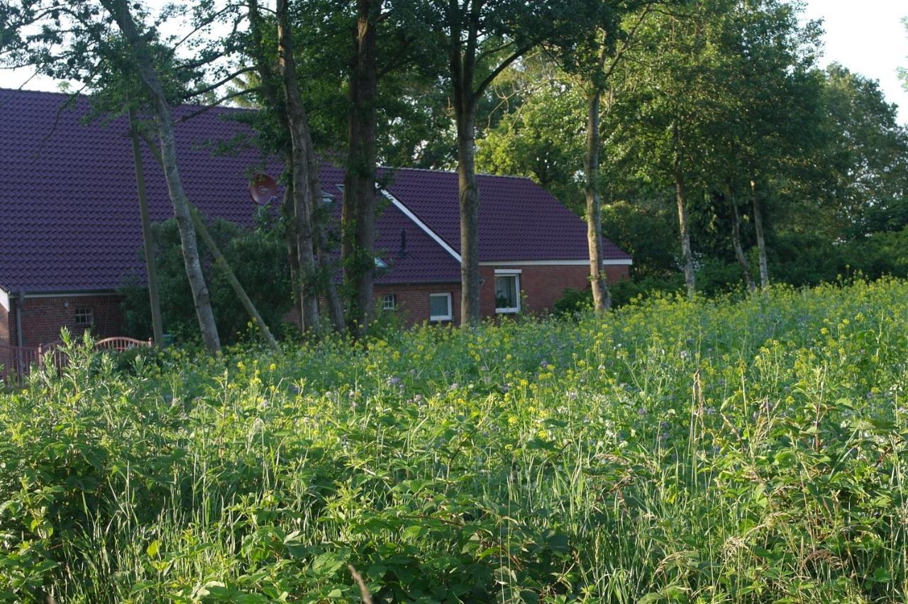Bed and Breakfast De Moane Akelsbarg Exteriér fotografie